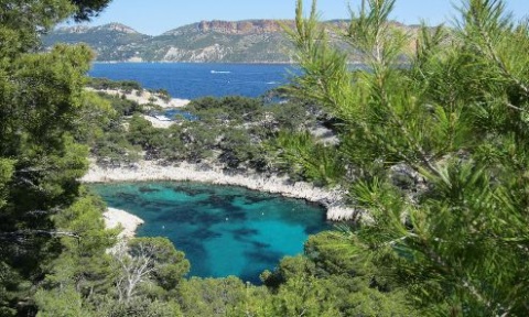 Calanque de Port Pin (©Jean-Michel Coste)